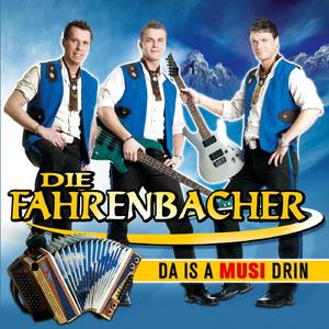 Fahrenbacher-Hit Medley: So a schöner Tag (Fliegerlied) / Ein Stern, der deinen Namen trägt / Ich fange nie mehr was an einem Sonntag an / I will leb'n