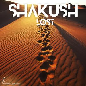 Lost (feat. Chen Elzam Mamash)