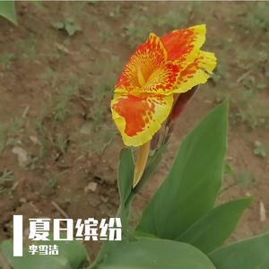 小满的雨