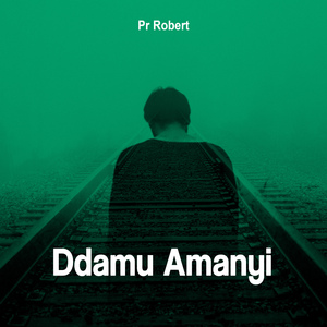 Ddamu Amanyi