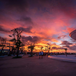 春知晓梦不觉 恰似你我那年