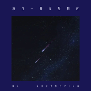 就当一颗流星划过