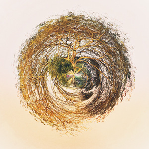 เธอรู้สึกว่าเธอกลับมาเป็นส่วนหนึ่งในโลกนี้อีกครั้ง