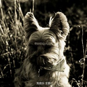 柔和的训练犬时刻