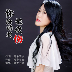 你给的爱把我伤 (伴奏)