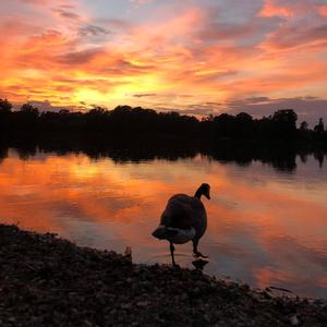 Alles was ich will (feat. Leyo)