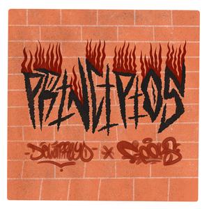 Principios (feat. Gooks)