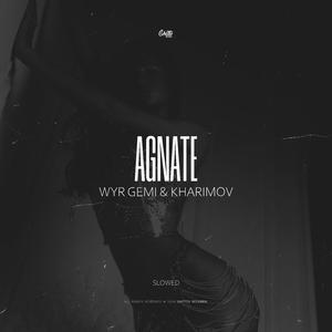 Agnate (Slowed)