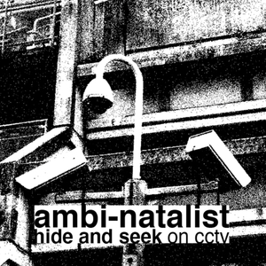 Hypernormalisation