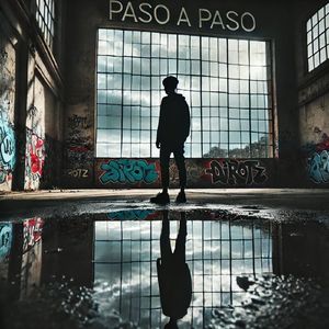 paso-a-paso