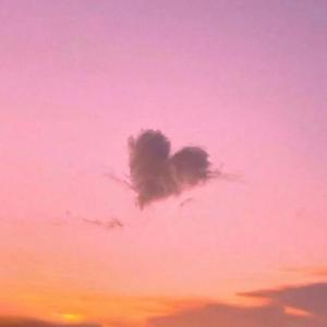 像极了（女生完整版）