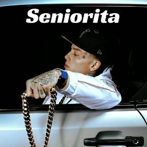 [不免费]--Seniorita--Melodic & Afro Trap Type Beat