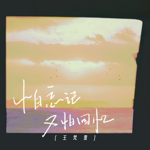 怕忘记又怕回忆