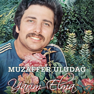 Bir O Yana Bir Bu Yana