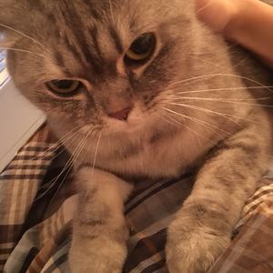 pierce（Cover TAKA）