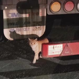 来自银河系的留言