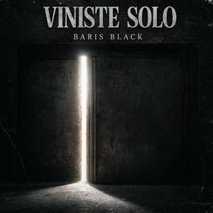 Viniste Solo