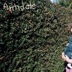 A Little Bird In A Tree