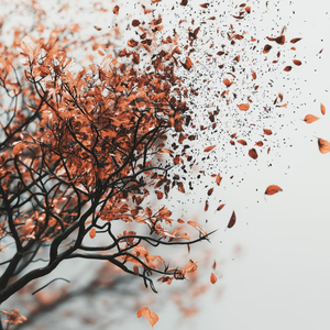 你漂亮的眼睛应该流幸福的泪