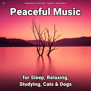 Peaceful Music, Pt. 4