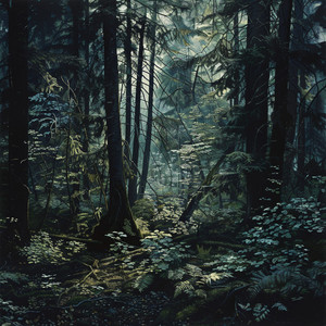 Momento Perspicaz De La Música Ambiental