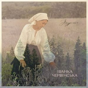 Зажурилася