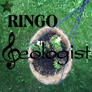Ringo