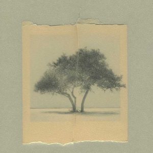 《变质的爱》