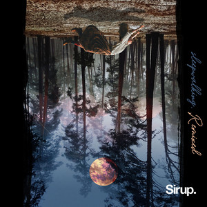 Stay (Jack Shore Remix)