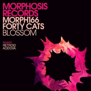 Blossom (Acidova Remix)