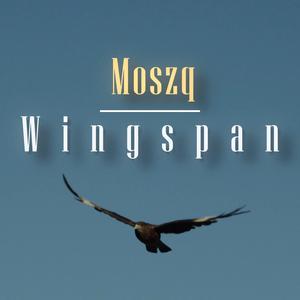 Wingspan