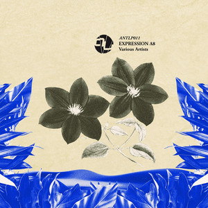 Restless (Radio Edit)