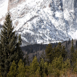 你闯进了我的镜头我按下了永远