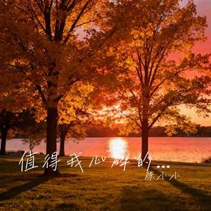 值得我心碎的人我不爱 (Cover 王佳音)