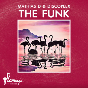 The Funk (Extended Mix)