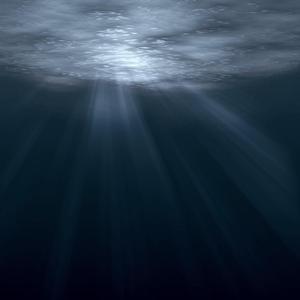 【Free Beat】深海鱼