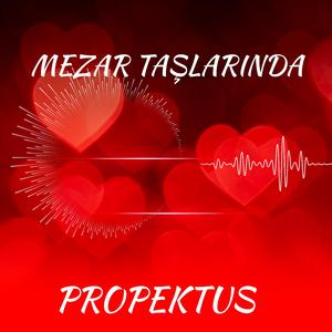 Mezar Taşlarında - Propektus | Karanlık Türkçe Slov (Dramatik Şiirsel Yorum)
