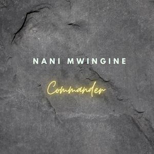 Nani Mwingine