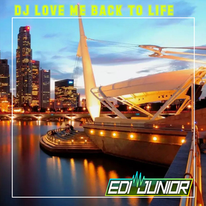 DJ LOVE ME BACK TO LIFE