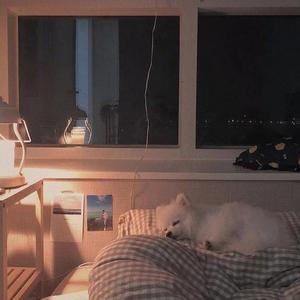 安全感(女生版)