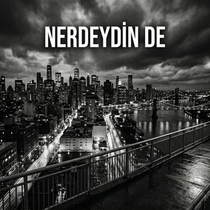 Nerdeydin De