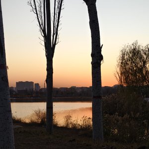 我们只是一个碰巧