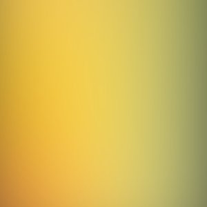 将泪水藏进雨里