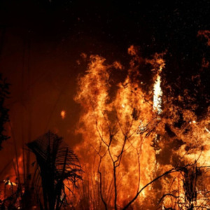 Paisagens Ígneas (2020) B