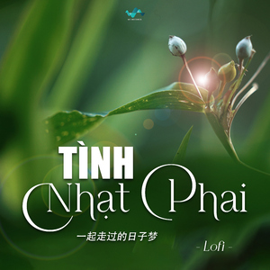 一起走过的日子 (Lofi)