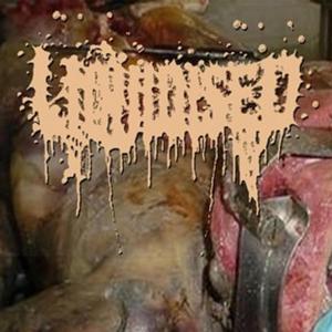 Cadaverous Spasm