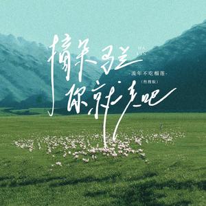 摘朵马兰你就走吧 (Сүн Элсэ版)