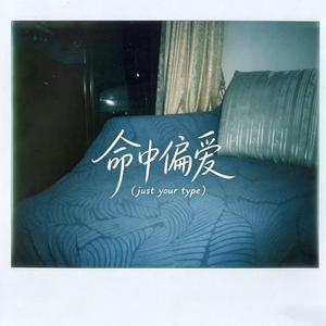 命中偏爱(just your type)