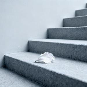 独凉曲