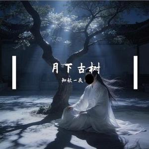 月下古树